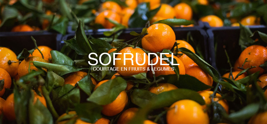 sofrudel